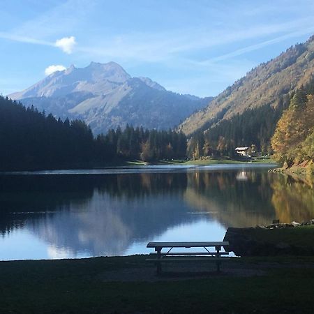 Apartment In Northern Alps With Skiing Nearby Les Gets Dış mekan fotoğraf