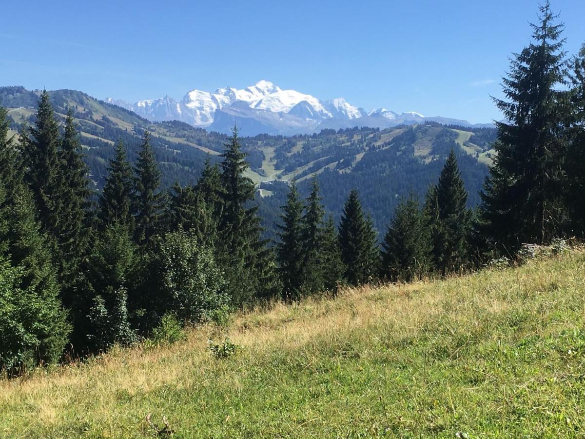 Apartment In Northern Alps With Skiing Nearby Les Gets Dış mekan fotoğraf