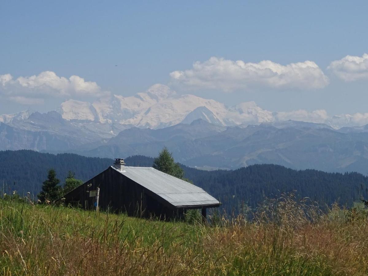 Apartment In Northern Alps With Skiing Nearby Les Gets Dış mekan fotoğraf