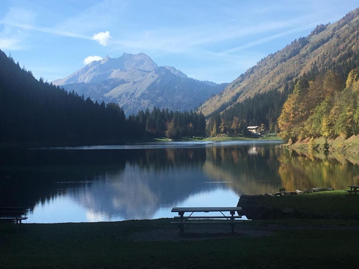 Apartment In Northern Alps With Skiing Nearby Les Gets Dış mekan fotoğraf