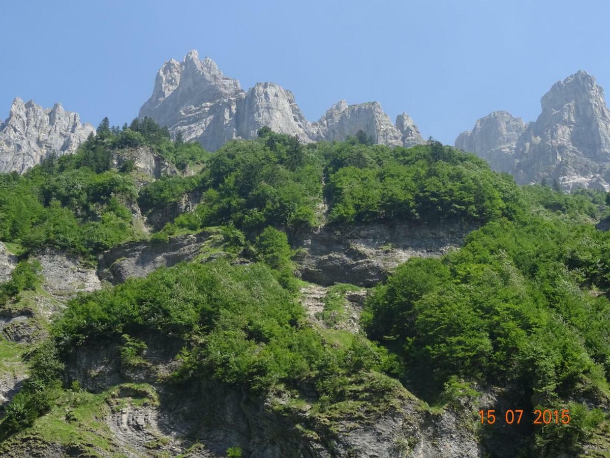 Apartment In Northern Alps With Skiing Nearby Les Gets Dış mekan fotoğraf