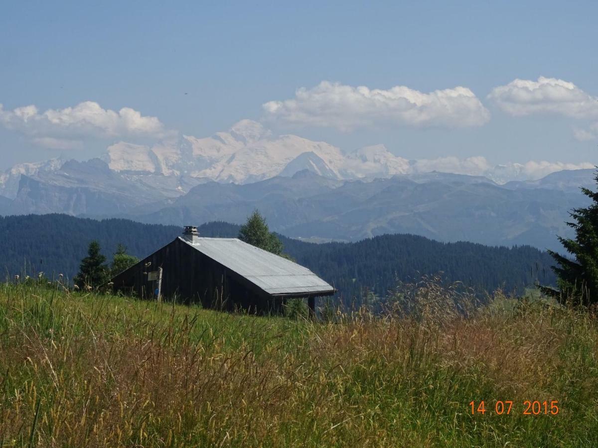 Apartment In Northern Alps With Skiing Nearby Les Gets Dış mekan fotoğraf